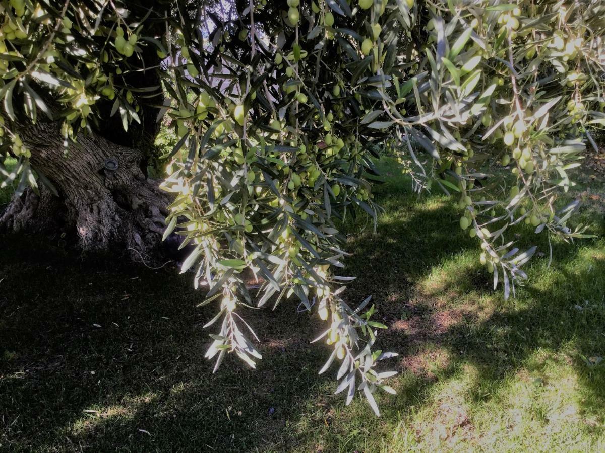 Il Dono Di Atena Cefalù Dış mekan fotoğraf